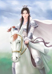 武林摘星传
